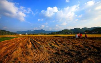 農村土地制度改革試點意見出臺