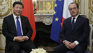 Chinese president meets French counterpart in Paris