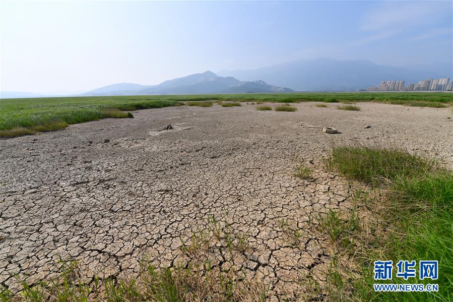 （圖文互動）（2）鄱陽湖提前出現低枯水位