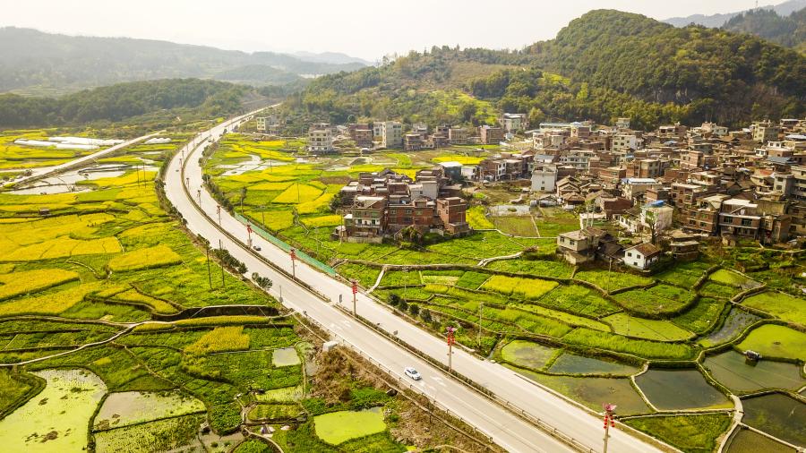 美麗鄉村入畫來