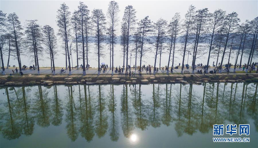 （十九大·讀報告 話民生）（13）加快生態文明體制改革，建設美麗中國