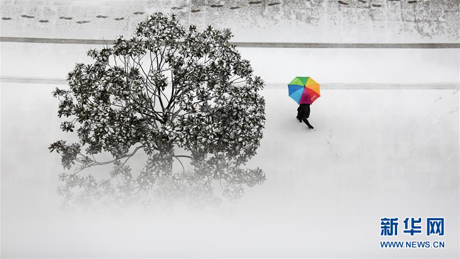 #（環境）（3）我國多地迎來強降雪