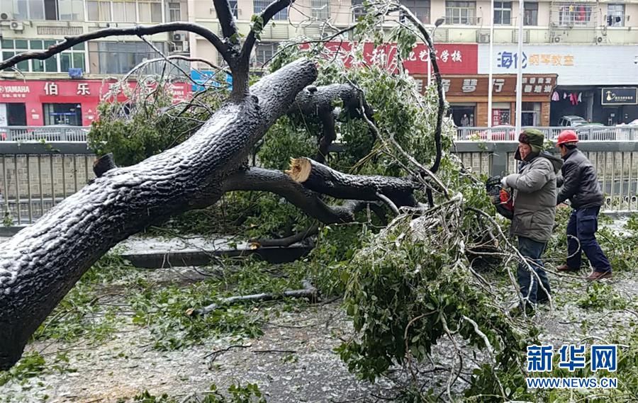 （新華全媒頭條）（7）雨雪冰凍中，他們奮力前行——基層黨員干群抗擊冰雪災害紀實