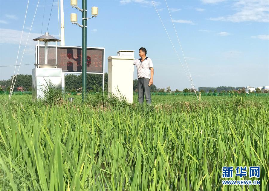 （新華全媒頭條·紀念改革開放40年特稿·圖文互動）（6）向著新航程揚帆奮進！——從小崗精神看中國改革開放40年