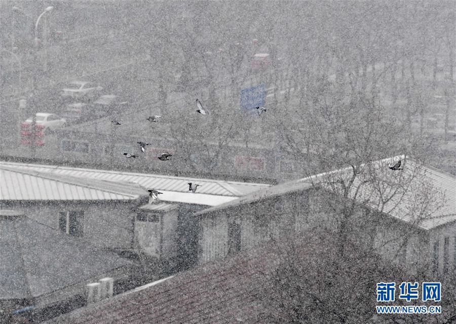 （環(huán)境）（8）北京迎來(lái)春雪