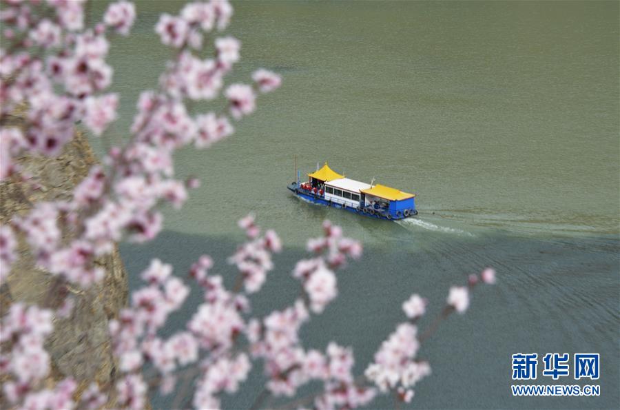 #（春季美麗生態(tài)）（2）花開(kāi)劉家峽