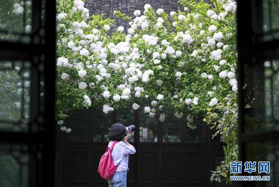 #（環境）（6）花開在四月