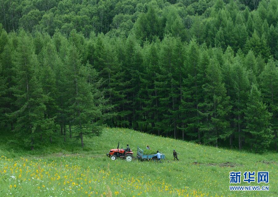 （壯闊東方潮 奮進新時代——慶祝改革開放40年）（4）美麗中華大地書寫綠色傳奇