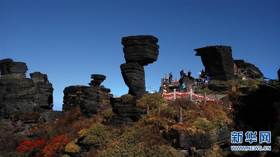 （圖文互動）（2）貴州梵凈山正式列入世界遺產名錄