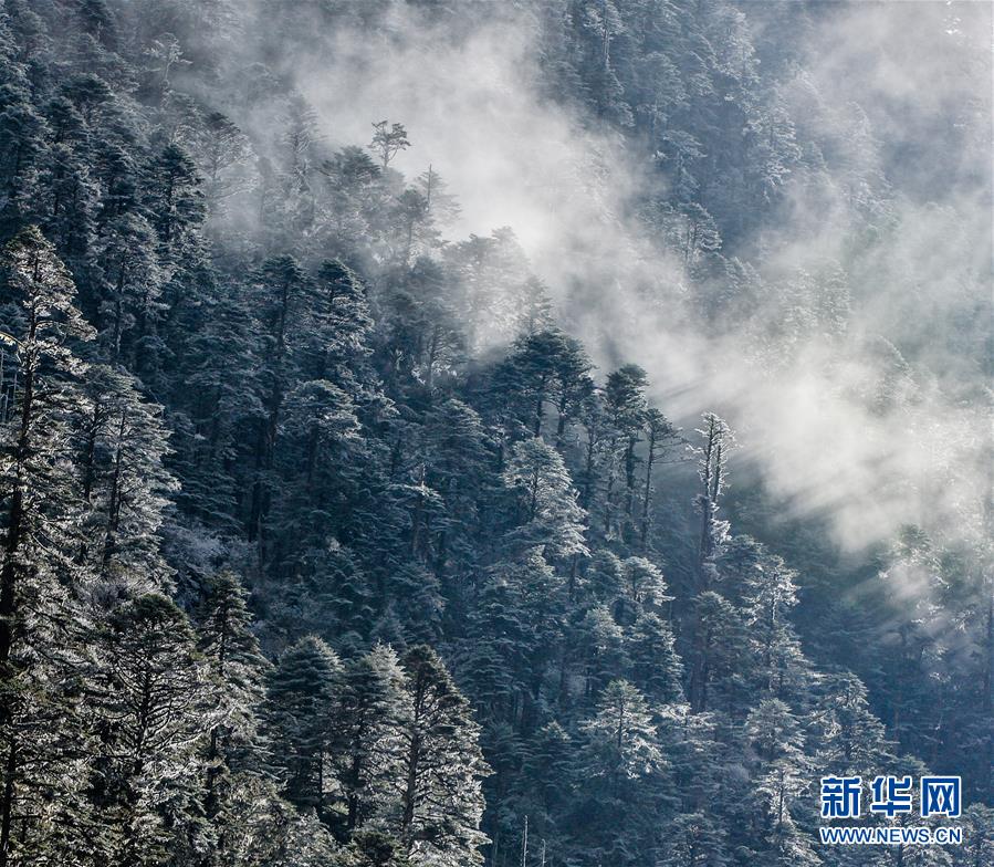 （環境）（8）白皮書：青藏高原地區仍然是地球上最潔凈的地區之一