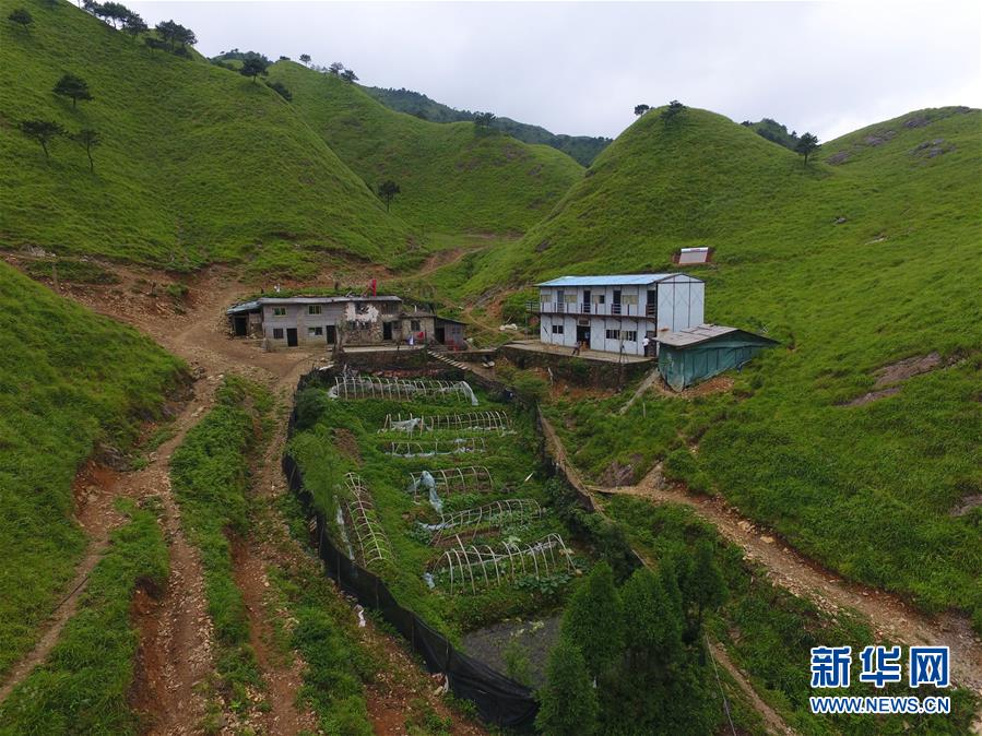 （新華全媒頭條·圖文互動(dòng)）（3）一個(gè)人，一座山——劉真茂的生命守望