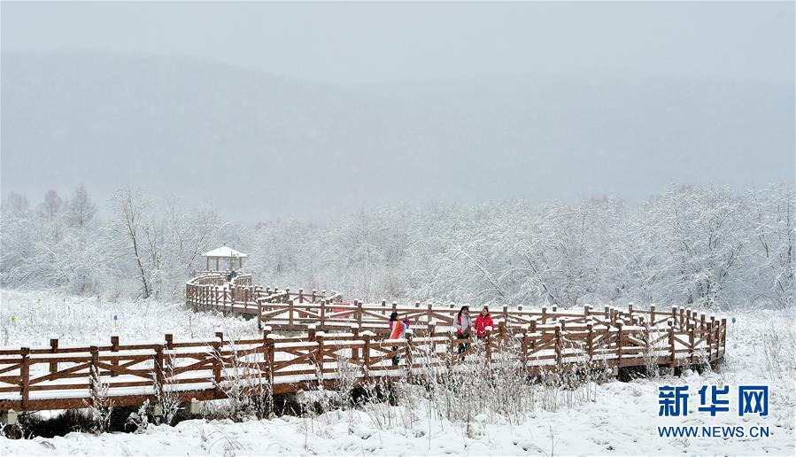 ＃（環境）（1）雪落呼倫貝爾