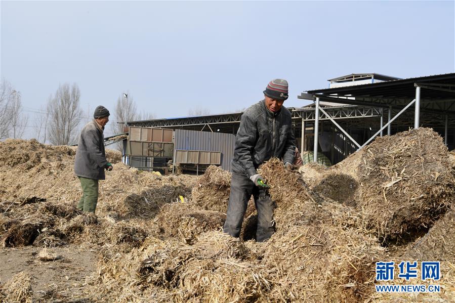 （在習近平新時代中國特色社會主義思想指引下——新時代新氣象新作為·鄉村振興戰略·圖文互動）（2）“與其放火，不如打包”——山西渾源秸稈綜合再利用見聞