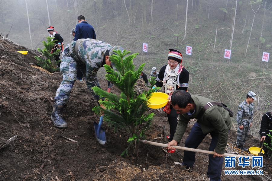 （圖文互動）（6）和平年代，離死神最近的人——南部戰區陸軍云南掃雷大隊邊境掃雷排爆記事