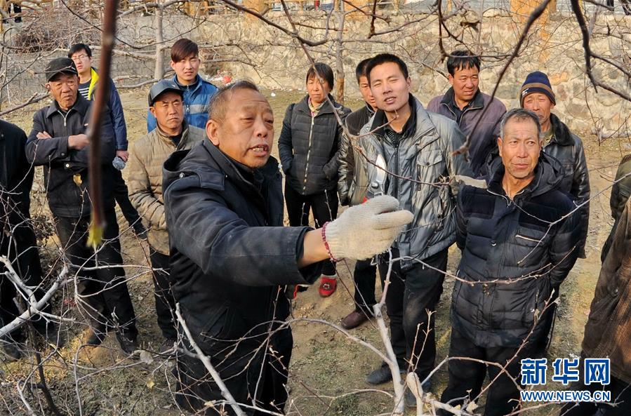 （改革先鋒風采·圖文互動）（2）李保國：開創山區扶貧新路的“太行山愚公”