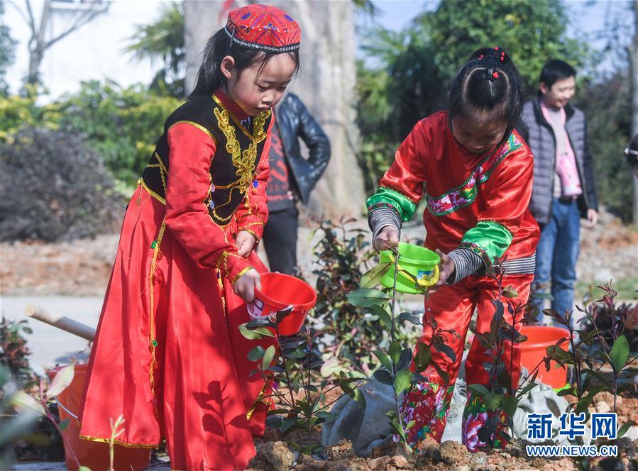 （社會）（1）多民族兒童共迎植樹節