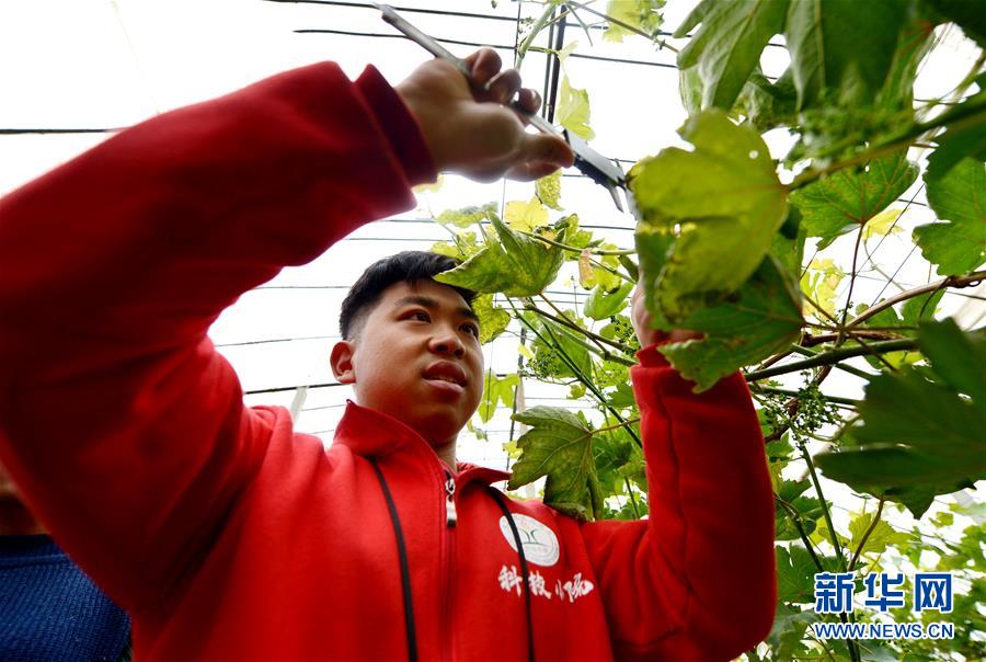 （愛國情 奮斗者·圖文互動）（8） “解民生之多艱，育天下之英才”——中國農大師生扎根田野書寫奉獻之歌