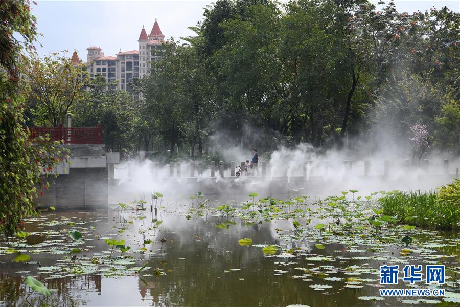 （在習近平新時代中國特色社會主義思想指引下——新時代新作為新篇章·圖文互動）（4）濕地就在城中央——珠三角重塑人與自然和諧共生圖景