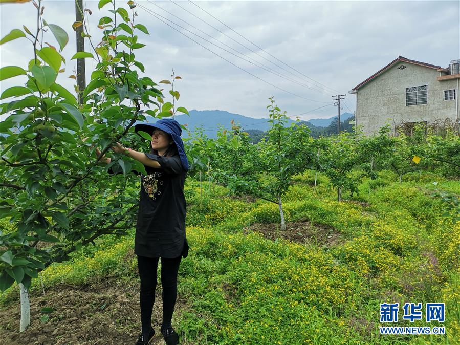 （壯麗70年·奮斗新時代·圖文互動）（1）縣域經濟強縣的“扶貧經”——來自湖南瀏陽市的脫貧攻堅調查