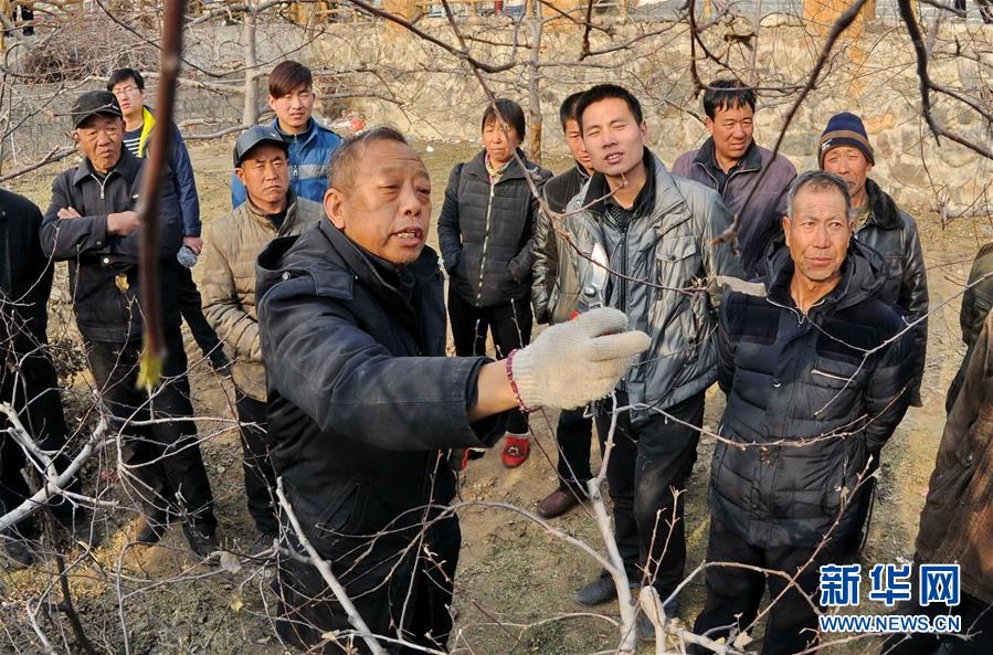 （新華全媒頭條·圖文互動）（8）鍛造領航復興的中流砥柱——寫在“不忘初心、牢記使命”主題教育即將啟動之際