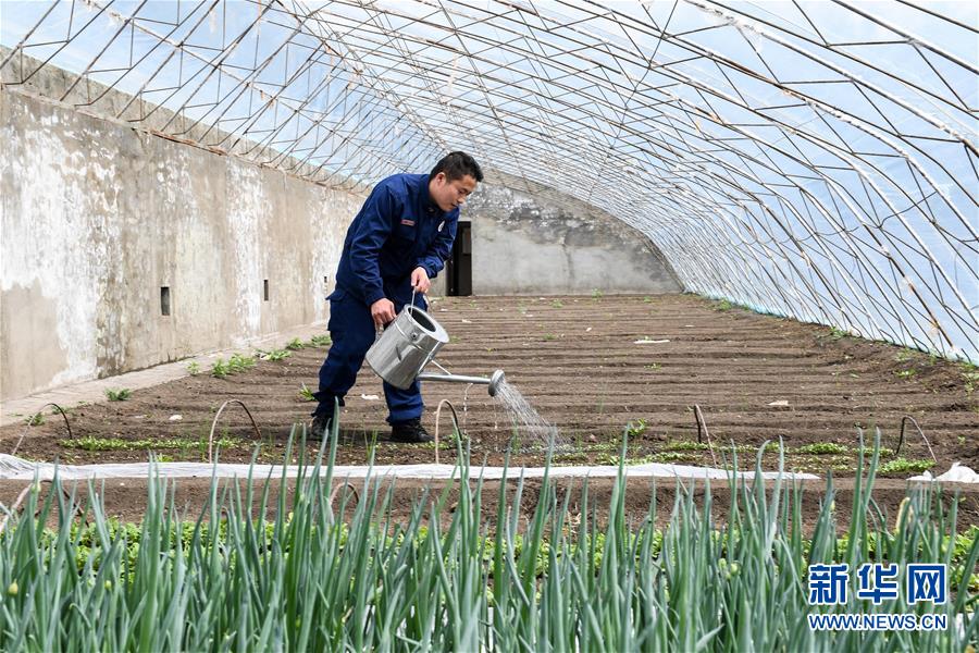 （壯麗70年·奮斗新時代·圖文互動）（11）林海孤島唱響冰與火之歌——記內蒙古森林消防總隊大興安嶺支隊奇乾中隊