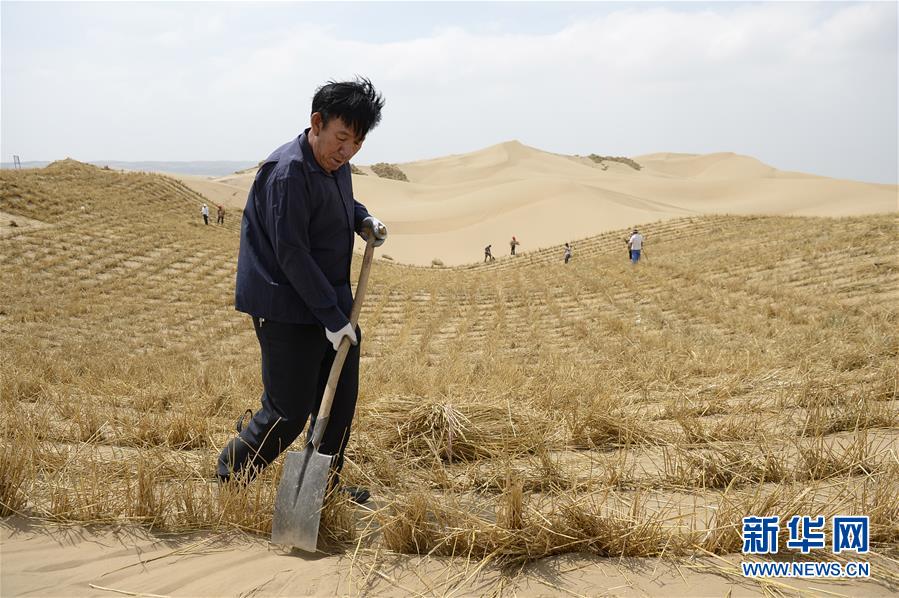 （權威訪談·聚焦中國經濟亮點·圖文互動）（9）防治土地荒漠化 推動綠色發展——專訪國家林業和草原局副局長劉東生