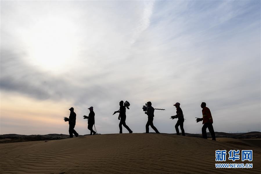 （權威訪談·聚焦中國經濟亮點·圖文互動）（11）防治土地荒漠化 推動綠色發展——專訪國家林業和草原局副局長劉東生