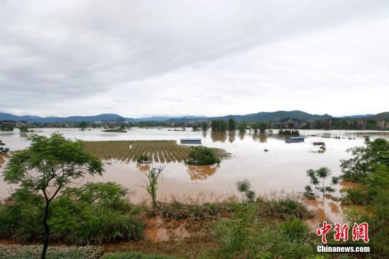 資料圖：湖南省臨武縣武水鎮(zhèn)、南強鎮(zhèn)、汾市鎮(zhèn)、水東鎮(zhèn)、金江鎮(zhèn)等鄉(xiāng)鎮(zhèn)遭遇特大暴雨襲擊，導致大量民房和農(nóng)田被淹。據(jù)不完全統(tǒng)計，該縣數(shù)千戶民房被淹，數(shù)十萬畝農(nóng)田、果園、煙田被淹斷收，直接經(jīng)濟損失達數(shù)千萬元。災(zāi)情發(fā)生后，當?shù)卣跋嚓P(guān)部門第一時間奔赴受災(zāi)鄉(xiāng)鎮(zhèn)轉(zhuǎn)移群眾，察看災(zāi)情并積極組織村民排澇自救、發(fā)放救災(zāi)物資、開展保險理賠等工作。目前救災(zāi)工作正在有序進行，無人員傷亡。唐盛歡 攝