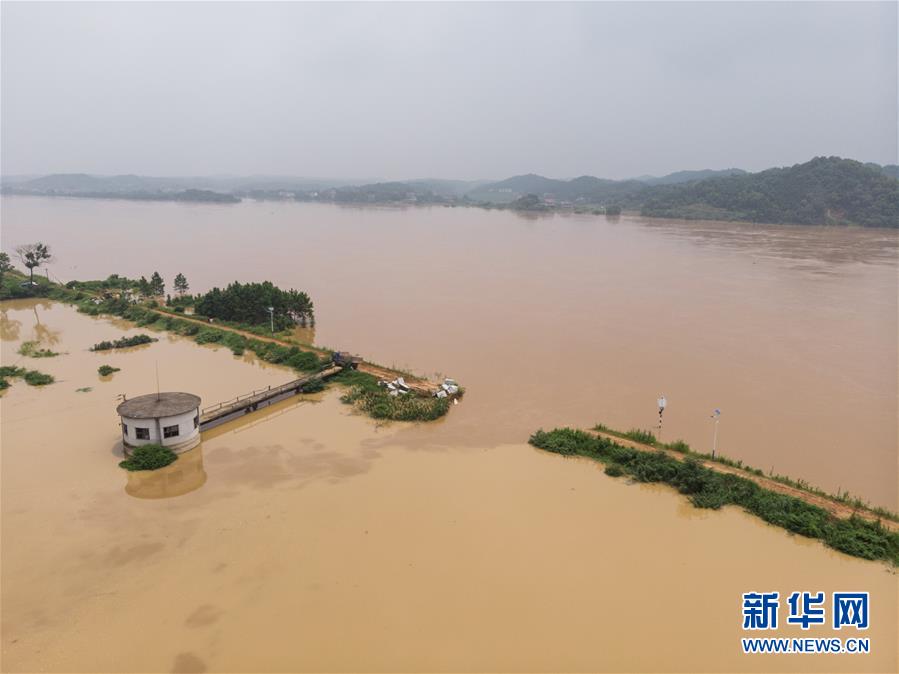 （防汛抗洪·圖文互動）加快搶險進度 確保群眾安全——湘江衡山段漫堤決口現場直擊