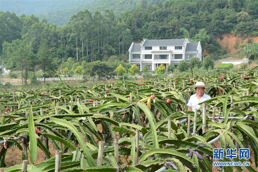 （在習(xí)近平新時(shí)代中國(guó)特色社會(huì)主義思想指引下——新時(shí)代新作為新篇章·總書(shū)記關(guān)心的百姓身邊事·圖文互動(dòng)）（6）大污染變身“大寶藏”：治理畜禽糞污，他們這樣干！