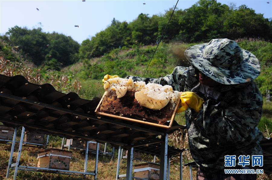 （新華全媒頭條·圖文互動）（4）永不歸來的“戰士”——追記倒在脫貧攻堅一線的貴州沿河縣駐村第一書記文偉紅