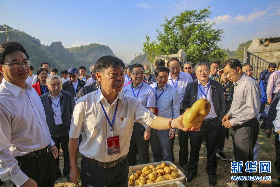 （新華全媒頭條·時代先鋒·圖文互動）（5）“要把論文寫在大地上”——記“農民院士”朱有勇