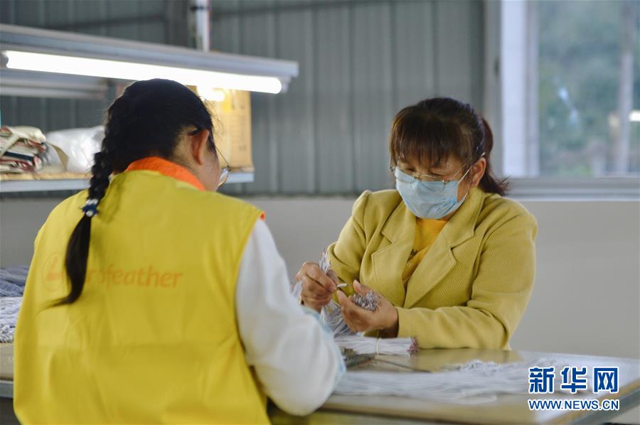 （圖文互動）（2）人回鄉、錢回流、企回遷——一個大石山區貧困縣的返鄉創業故事 