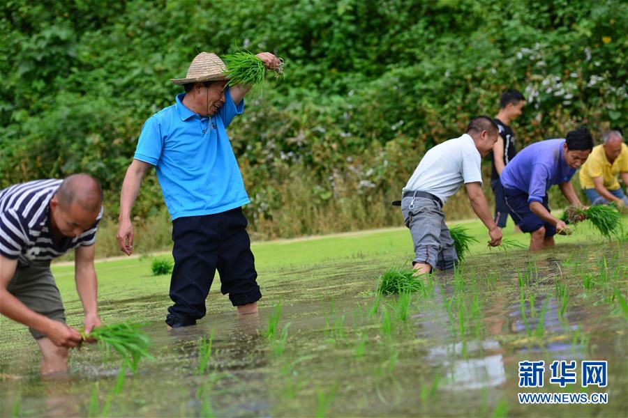 （新華全媒頭條·圖文互動）（8）干部去哪兒了？——貴州干部大規(guī)模下沉脫貧攻堅一線紀實