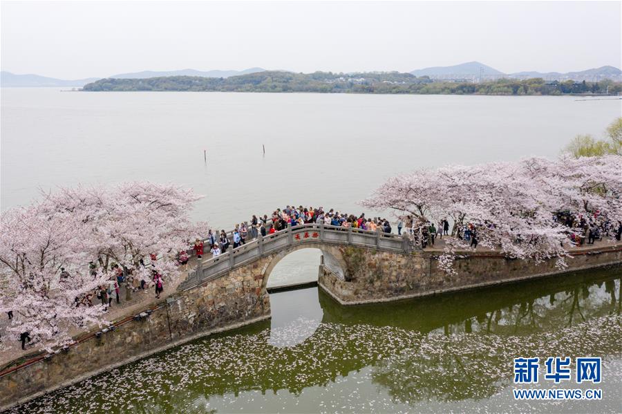 （新華全媒頭條·圖文互動）（8）大湖見證——長三角三大淡水湖綠色發展之路