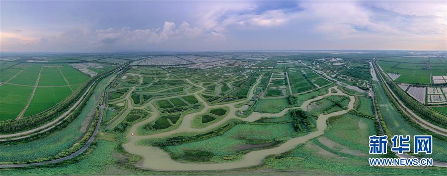 （新華全媒頭條·圖文互動）（11）大湖見證——長三角三大淡水湖綠色發展之路