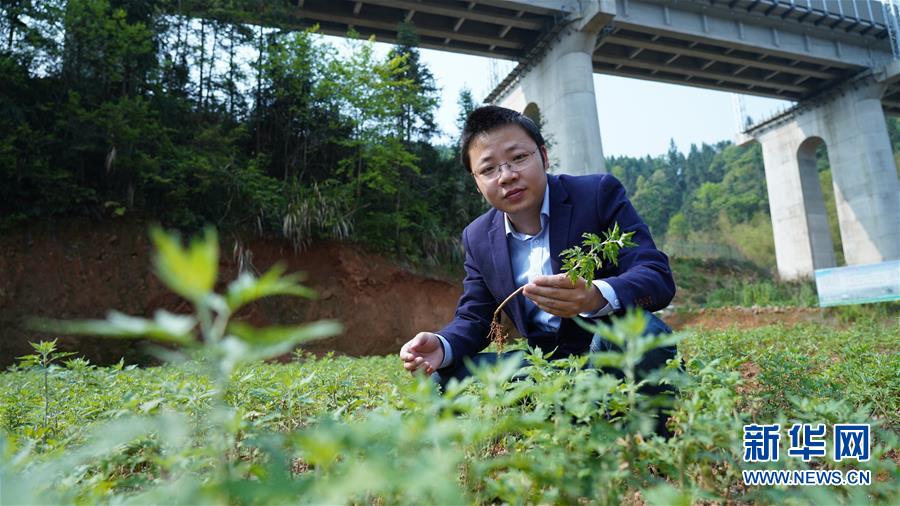 （決戰決勝脫貧攻堅·圖文互動）（2）扶貧路上三人行