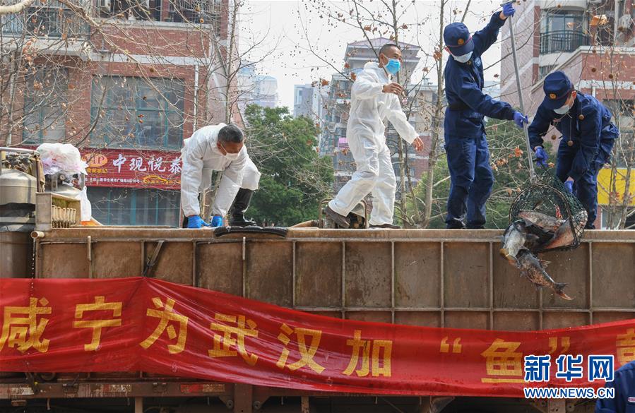 （新華全媒頭條·圖文互動）（11）風雨無阻向前進——寫在全國疫情防控阻擊戰取得重大戰略成果之際