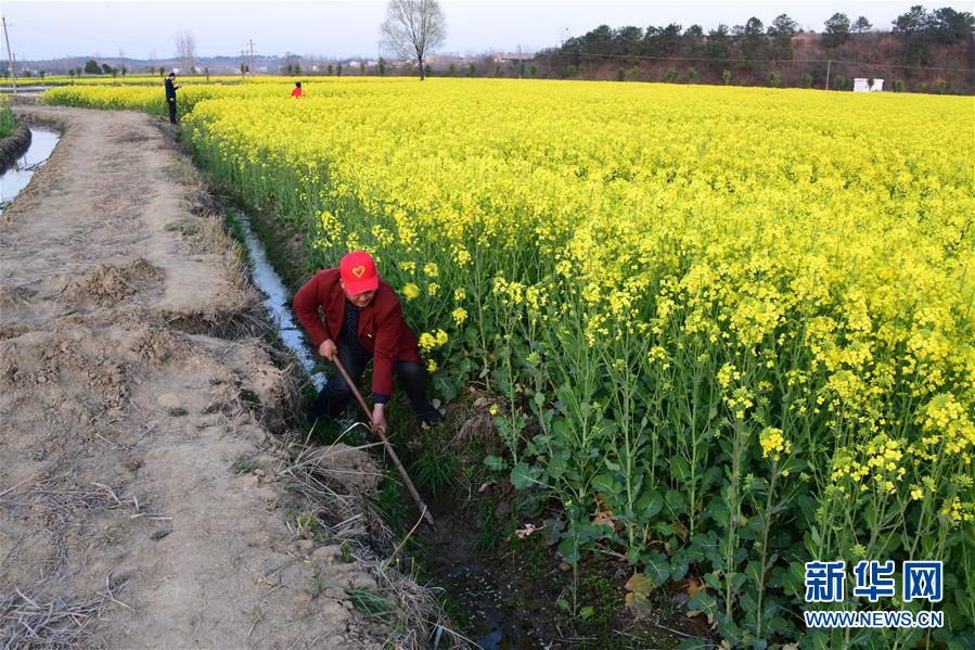 （決戰決勝脫貧攻堅·圖文互動）（6）貧困戶老楊的人生“三級跳”