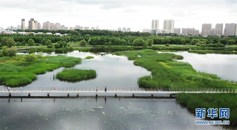 （走向我們的小康生活·圖文互動）（1）水清、地綠、空氣新——最北省份黑龍江繪就生態(tài)治理新畫卷