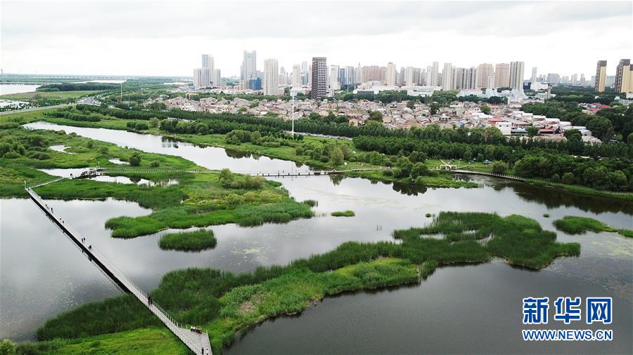 （走向我們的小康生活·圖文互動）（2）水清、地綠、空氣新——最北省份黑龍江繪就生態(tài)治理新畫卷