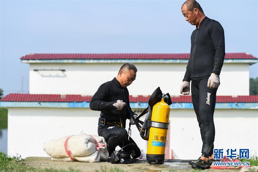 （防汛抗洪·圖文互動）（7）洞庭“蛙人”：在水下10米打響家園保衛戰