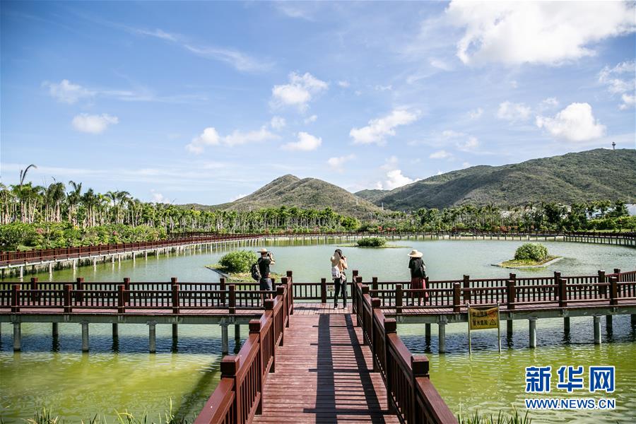 （新華全媒頭條·走向我們的小康生活·圖文互動）（6）留住鄉愁留住美——千村競秀綴瓊州