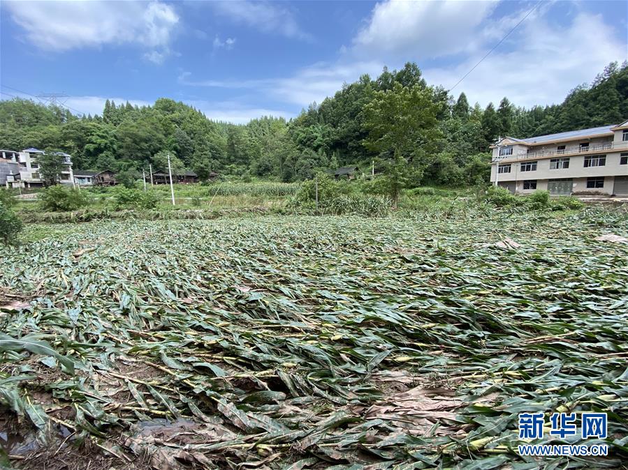 （防汛抗洪·圖文互動）（4）山洪襲來前，澧水河畔大轉移