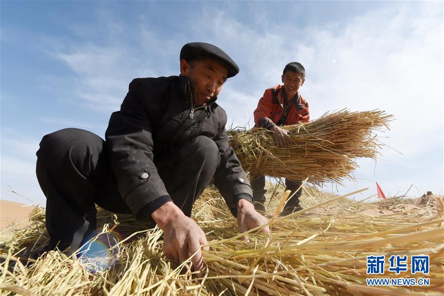 （在習近平新時代中國特色社會主義思想指引下——新時代新作為新篇章·習近平總書記關切事·圖文互動）（5）綠色映底蘊，山水見初心——生態優先、綠色發展持續造福群眾美好生活