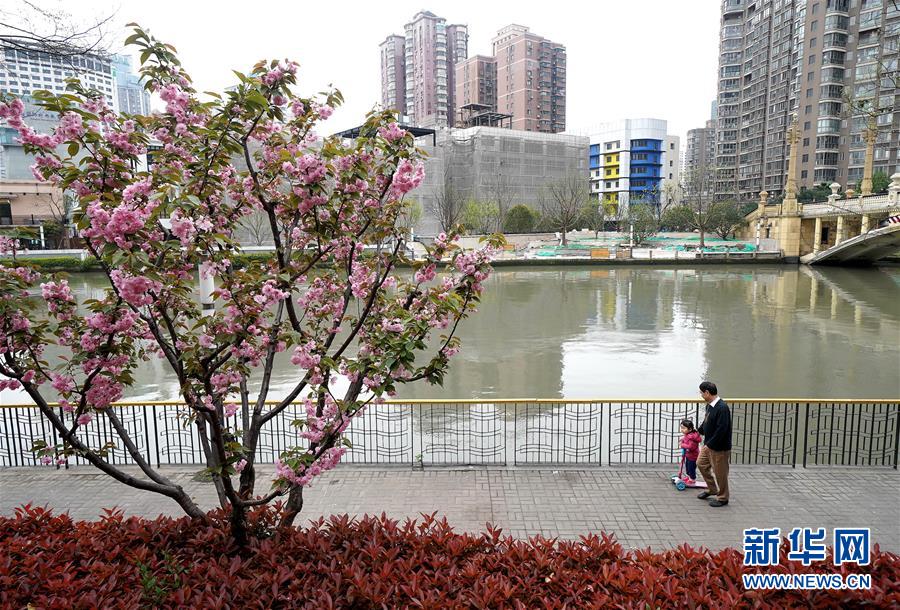 （新華全媒頭條·走向我們的小康生活·圖文互動）（12）城市，讓人民生活更美好