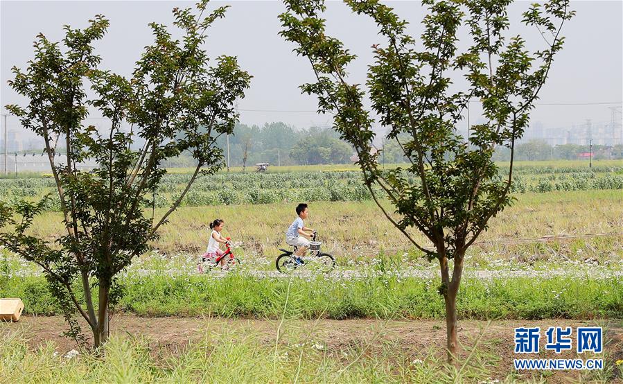 （新華全媒頭條·走向我們的小康生活·圖文互動）（14）城市，讓人民生活更美好