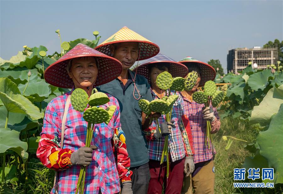 （新時(shí)代文明實(shí)踐·圖文互動(dòng)）（3）文明之花別樣紅——來(lái)自廣東博羅的新時(shí)代文明實(shí)踐報(bào)告