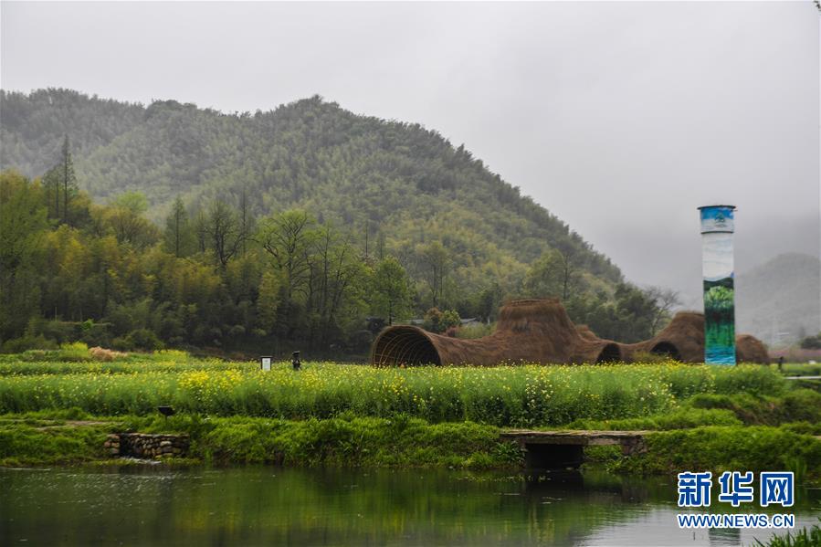 （新華全媒頭條·圖文互動）（2）生態文明之光照耀美麗中國——寫在綠水青山就是金山銀山理念提出15周年之際