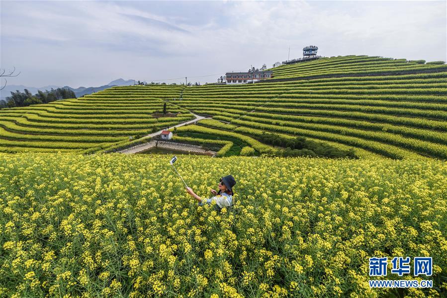 （新華全媒頭條·圖文互動）（4）生態文明之光照耀美麗中國——寫在綠水青山就是金山銀山理念提出15周年之際